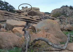 "Crab Eyes" (circled) from a distance at Wichita Mountain.  Photo copyright Sara J. Bruegel, 2016