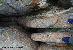 Standing above a large gap between rock sections.  Photo copyright Sara J. Bruegel, 2016