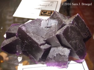 Fluorite. Photo copyright Sara J. Bruegel, 2016