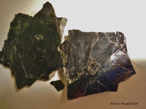 Biotite - flaky and black.  Photo copyright Sara J. Bruegel, March 2016