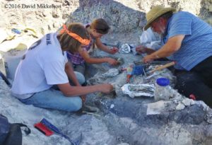 Working on the Colorado dig site Photo credit: David Mikkelson, 2016